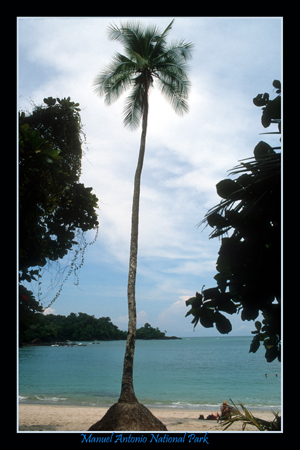 manuel antonio 3