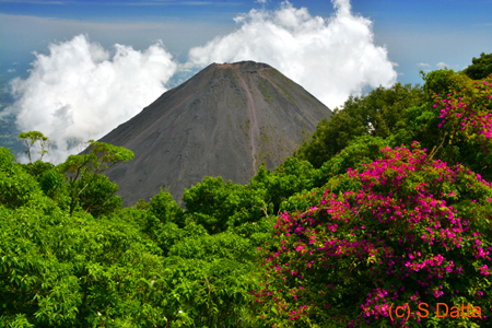 Izalco Volcano