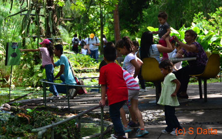 La Laguna Botanical Garden